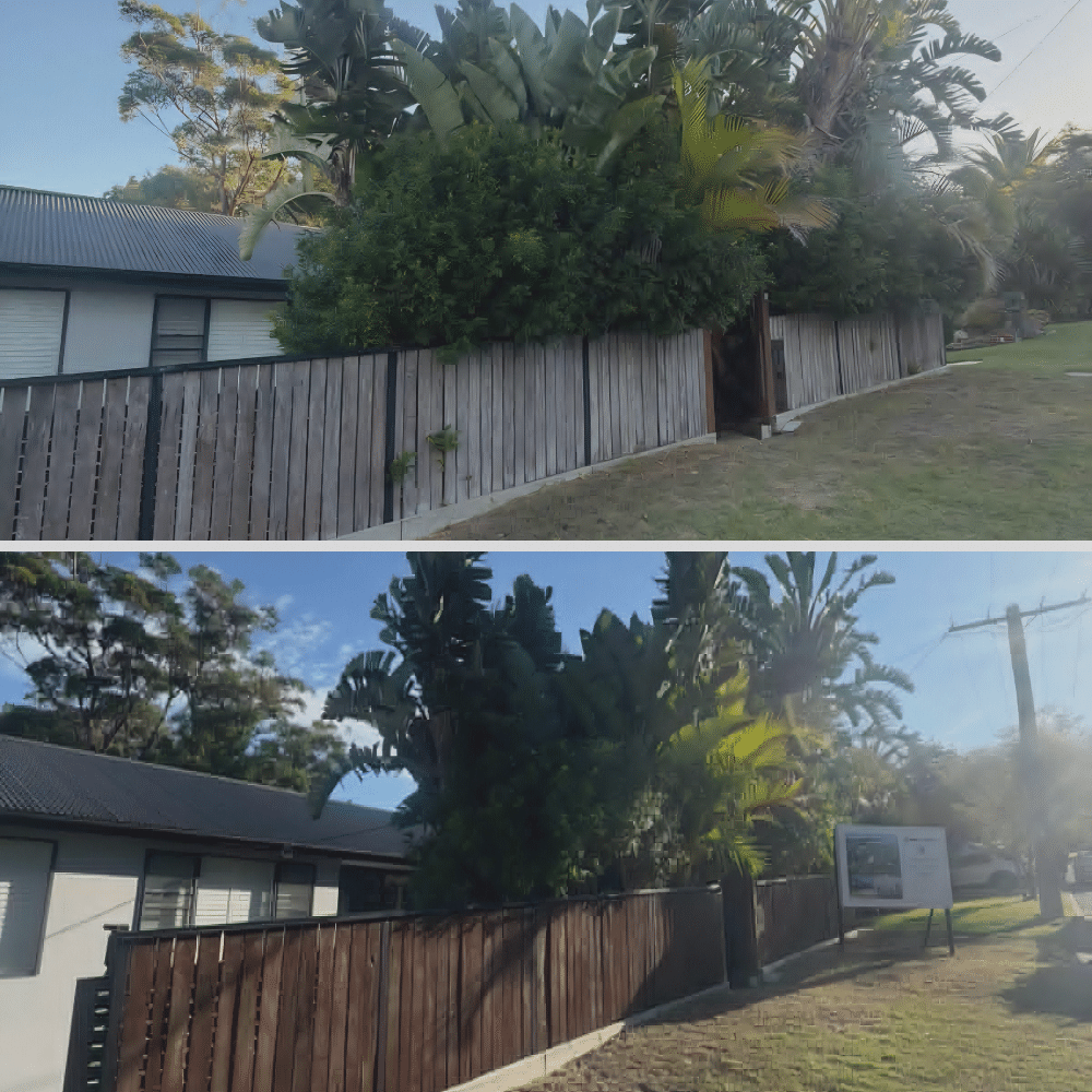 Two views of a house behind a tall wooden fence, surrounded by large, leafy green trees and plants, with a grassy front yard and some sunlight filtering through the vegetation.